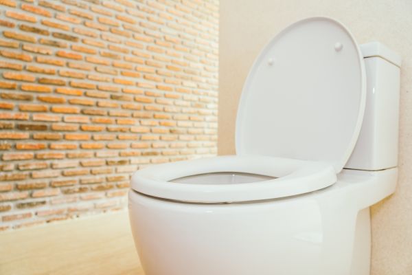 Cost of Toilet Seat Repair in Columbia